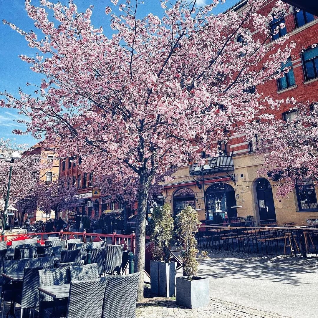 Nyhavn