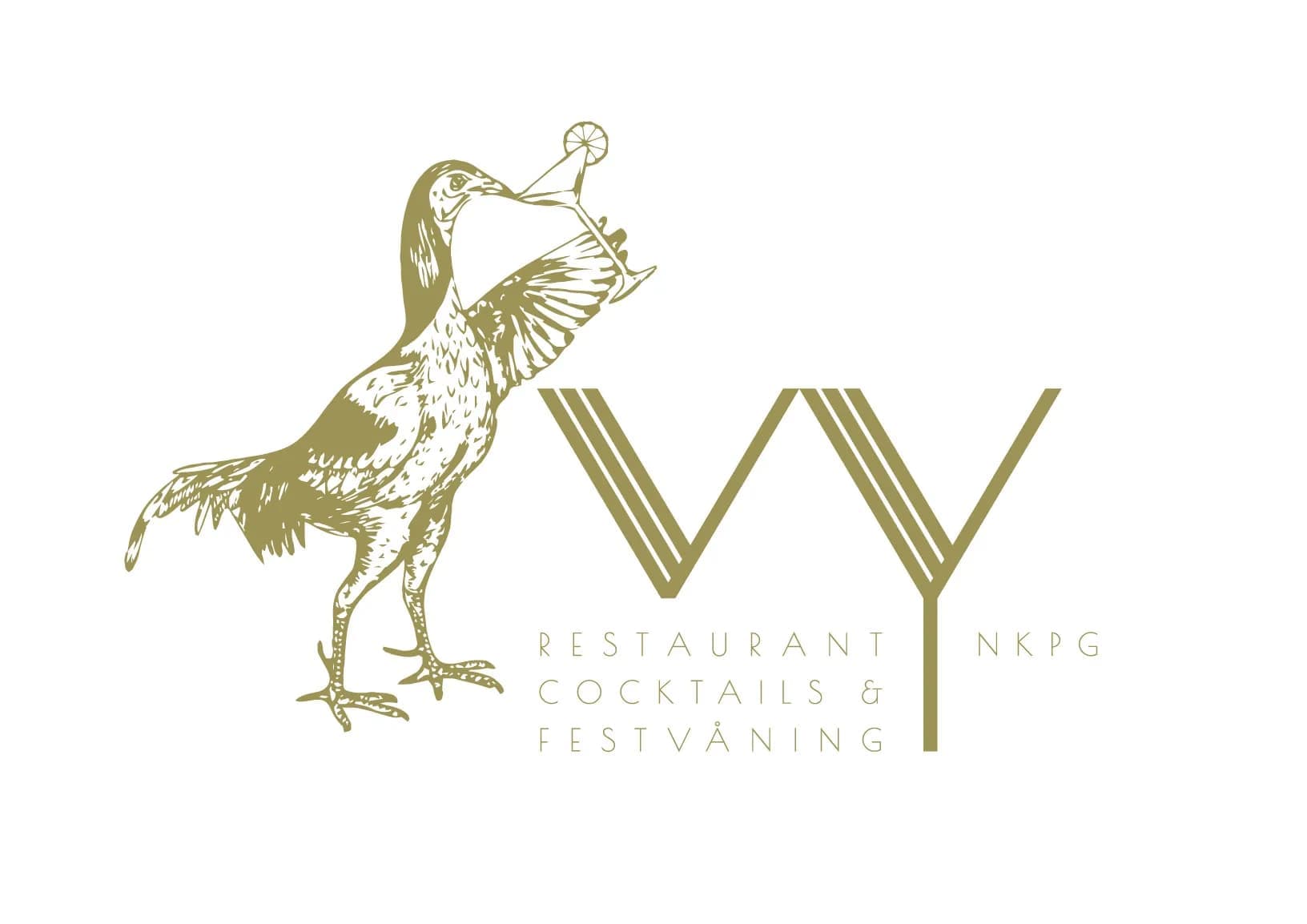 Vy 1