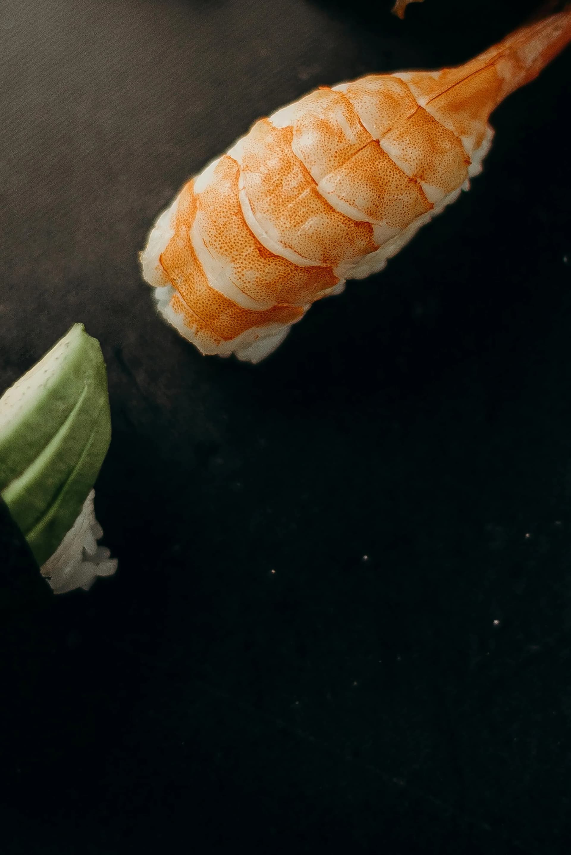 ESA Sushi