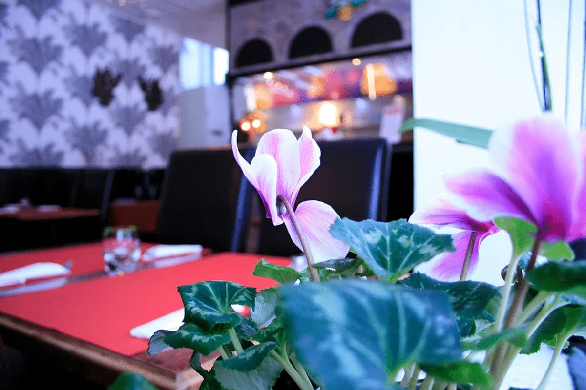 Nickys Thai